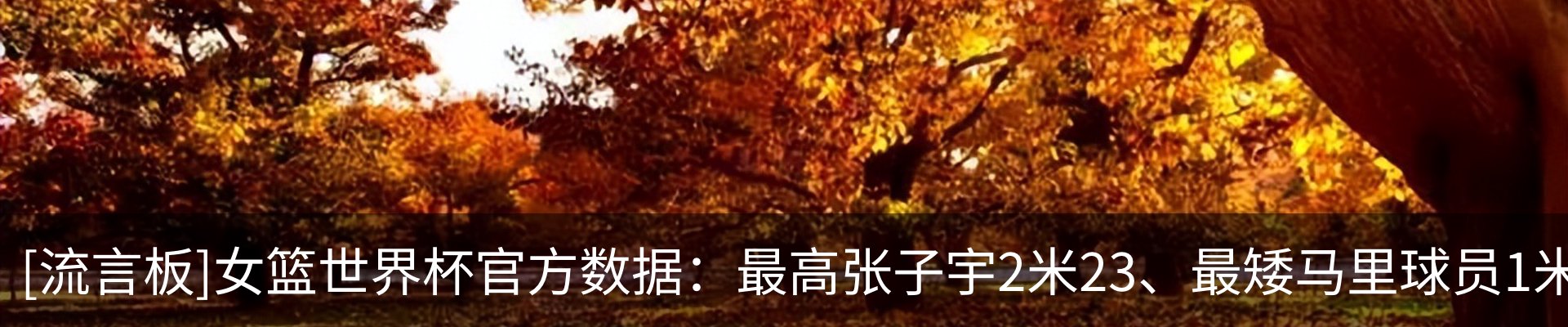 资讯动态